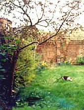 The garden in 1996