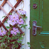 Green shed door