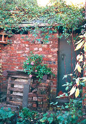The Shed as it was, November 1998