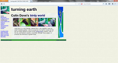 Screenshot of website in 2002
