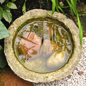 Water bowl
