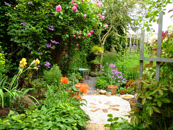 Garden view - 7 June 2009