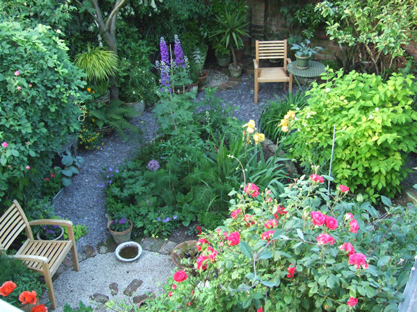 Garden view - 10 June 2008