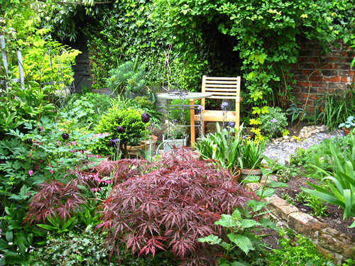 Garden view - 18 May 2008