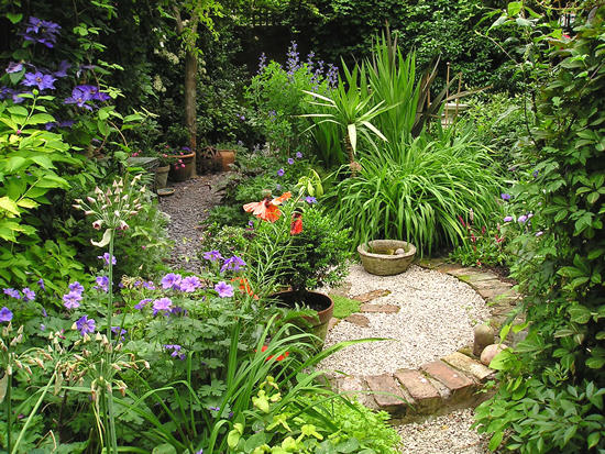 Garden view, 19 June 2006