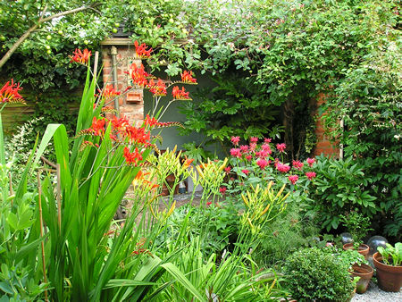 Garden view, 20 July 2006