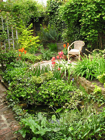 Garden view, 22 April 2007