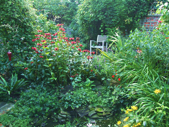 Garden view - 28 August 2010
