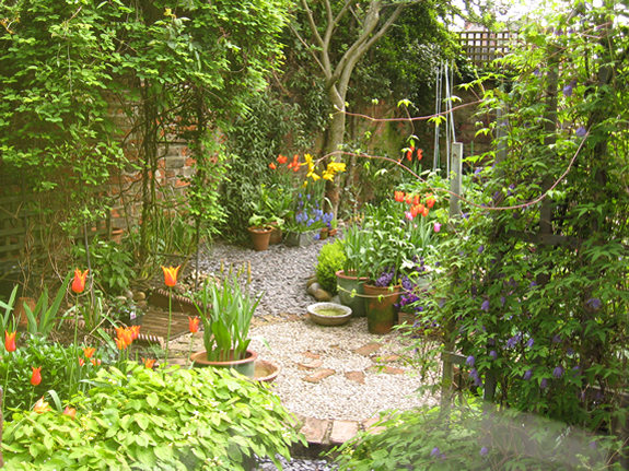 Garden view - 30 April 2010