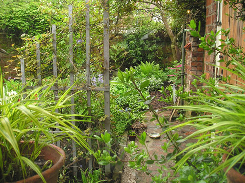 View from the kitchen window, down the garden towards Woodland Corner, 1 May 2005